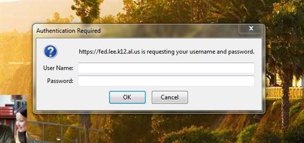 Username and Password Popup 